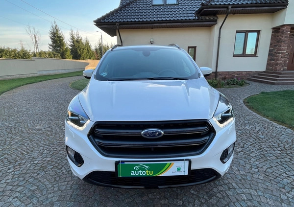 ford kuga lubartów Ford Kuga cena 86900 przebieg: 46000, rok produkcji 2019 z Lubartów